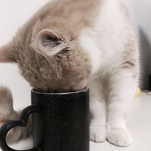 二次元口球+手铐+脚铐+十字扣
