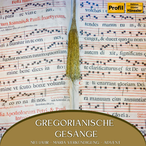 二次元口球+手铐+脚铐+十字扣
