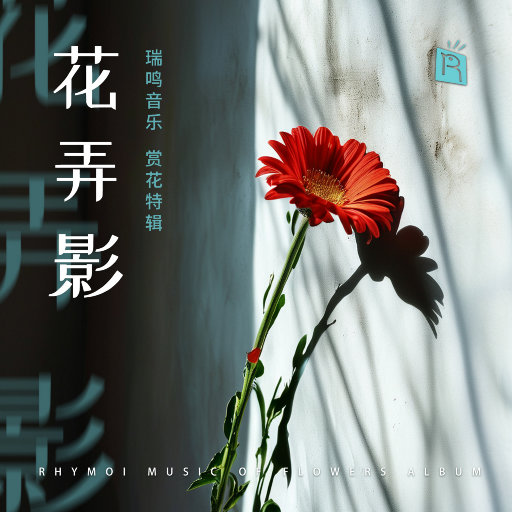 二次元口球+手铐+脚铐+十字扣
